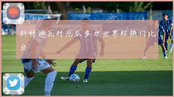 科特迪瓦对厄瓜多尔世界杯热门比分