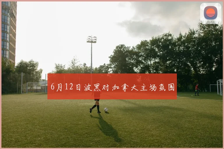 6月12日波黑对加拿大主场氛围