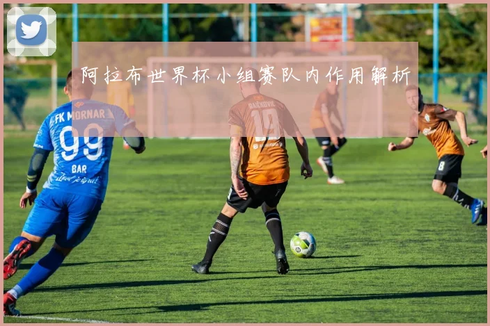 阿拉布世界杯小组赛队内作用解析