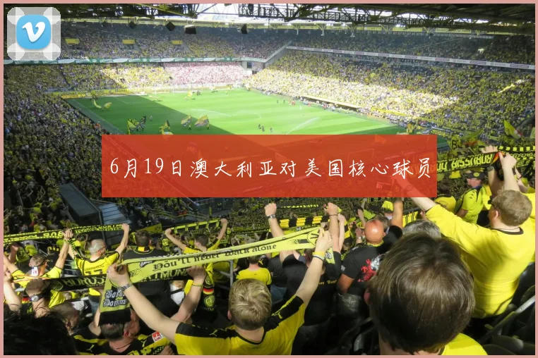 6月19日澳大利亚对美国核心球员