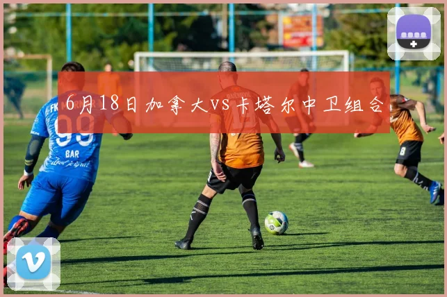 6月18日加拿大vs卡塔尔中卫组合