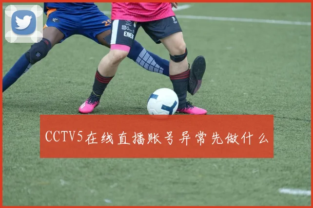 CCTV5在线直播账号异常先做什么