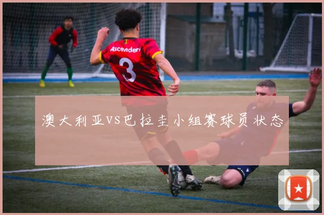 澳大利亚vs巴拉圭小组赛球员状态
