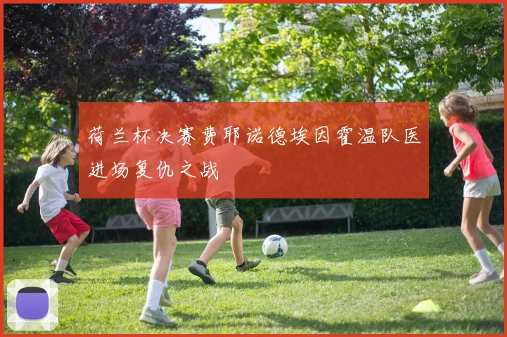 荷兰杯决赛费耶诺德埃因霍温队医进场复仇之战