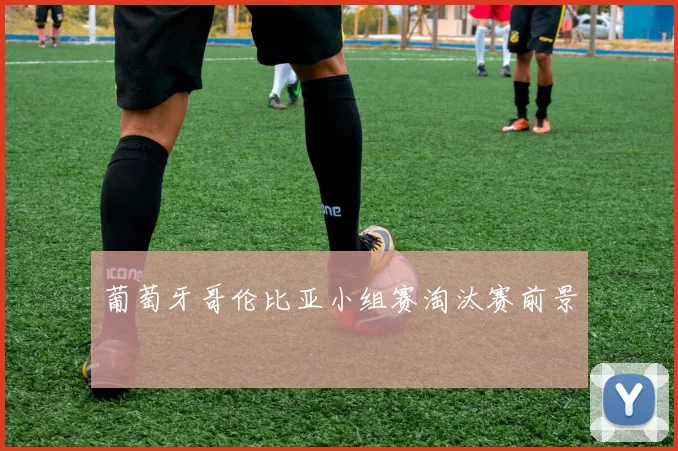 葡萄牙哥伦比亚小组赛淘汰赛前景