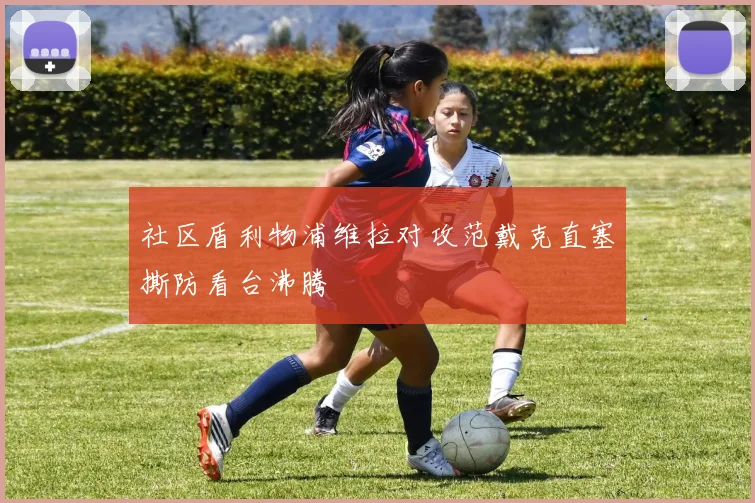 社区盾利物浦维拉对攻范戴克直塞撕防看台沸腾